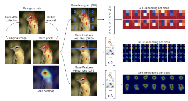 Encoded gaze points Example of encoded gaze points taken from Karessli 2017 (CVPR)